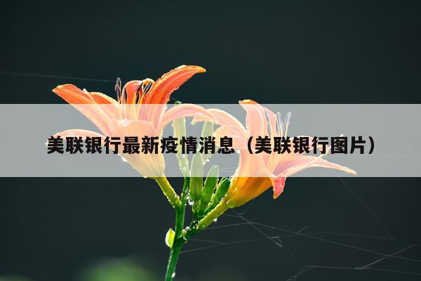 美联银行最新疫情消息（美联银行图片）