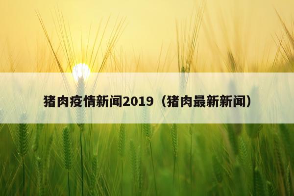 猪肉疫情新闻2019（猪肉最新新闻）