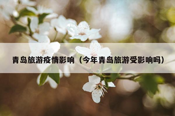 青岛旅游疫情影响（今年青岛旅游受影响吗）