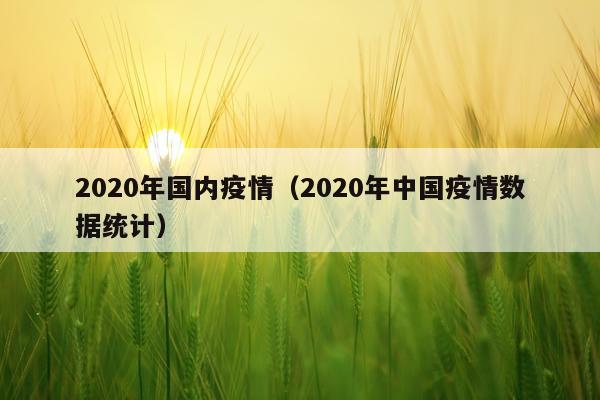 2020年国内疫情（2020年中国疫情数据统计）