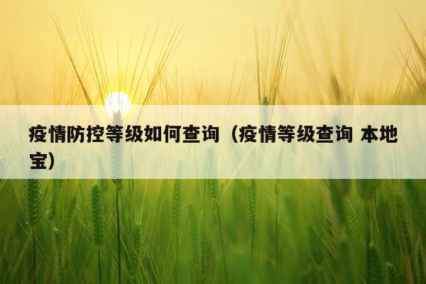 疫情防控等级如何查询（疫情等级查询 本地宝）
