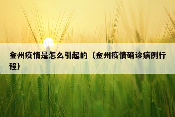 金州疫情是怎么引起的（金州疫情确诊病例行程）